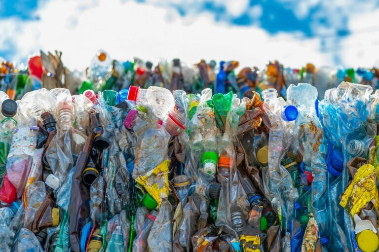 plastic bottles
